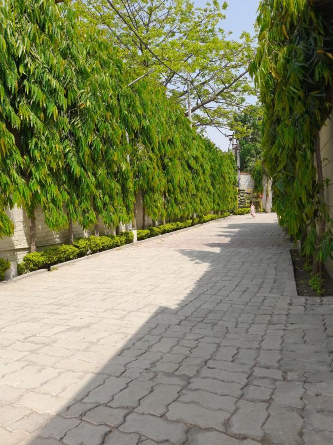 Ashoka Resort & Banquets Begusarai Ngoại thất bức ảnh